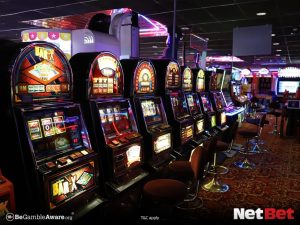 noz777 - Cassino Oficial Baixar